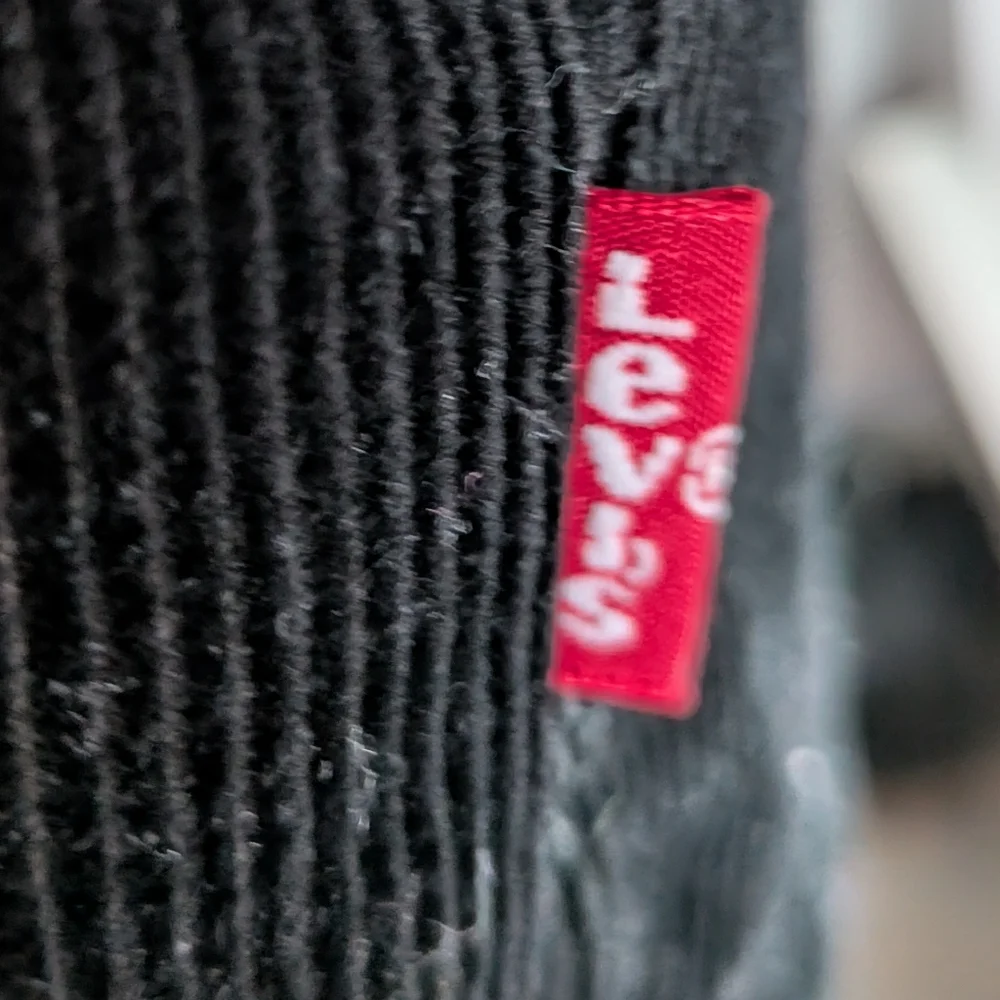 Levis Strauss stay warm